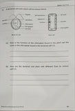 Upper Block Give the Right Answer for Science Open-ended Questions (Primary 5 & 6)